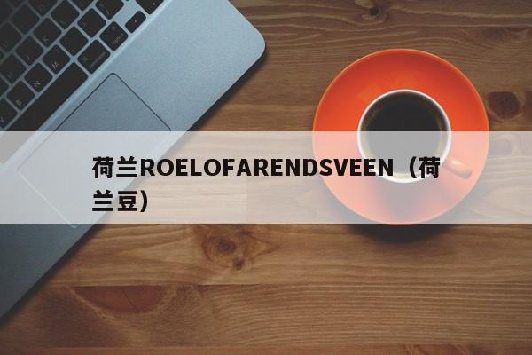 荷兰ROELOFARENDSVEEN（荷兰豆）