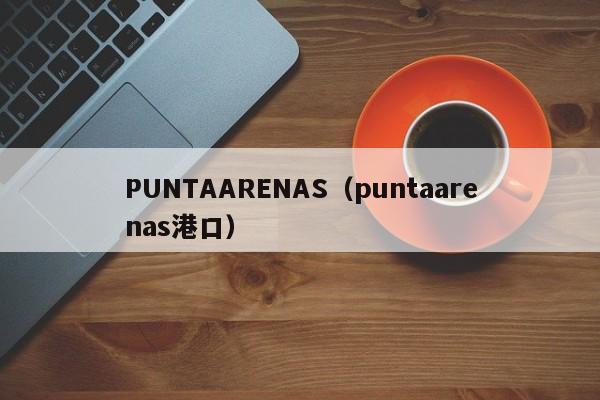 PUNTAARENAS（puntaarenas港口）