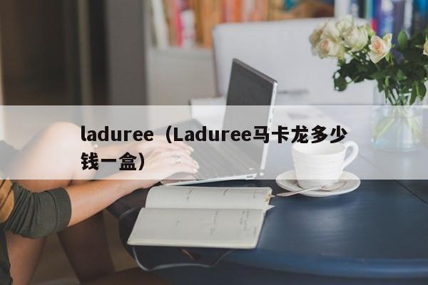 laduree（Laduree马卡龙多少钱一盒）