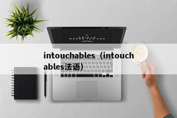 intouchables（intouchables法语）