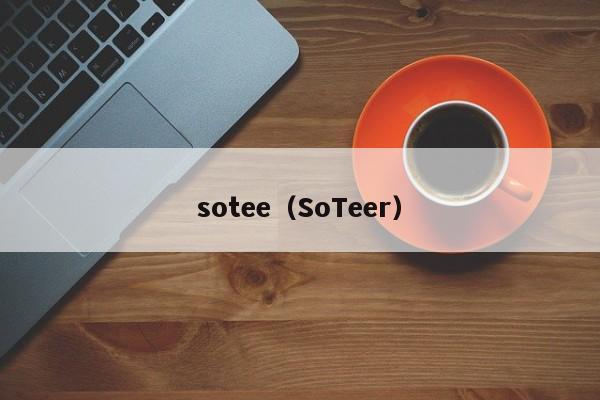 sotee（SoTeer）