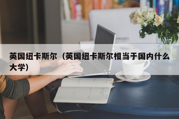 英国纽卡斯尔（英国纽卡斯尔相当于国内什么大学）