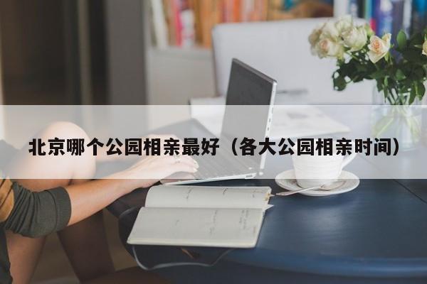 北京哪个公园相亲最好（各大公园相亲时间）