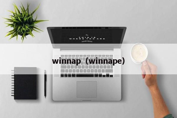 winnap（winnape）